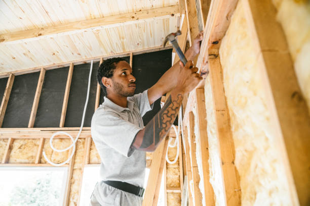 Best Professional Insulation Contractor  in Aragon, GA