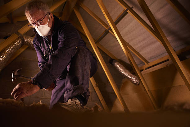 Best Insulation Contractor Near Me  in Aragon, GA